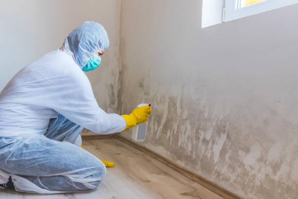 Licensed Mold Inspection And Testing service in Wharton, TX - Mold Remediation HQ